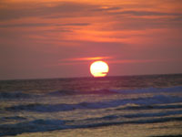 Tilapa