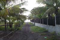 Tilapa Beach in Guatemala